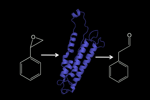 styrene monoxygenase