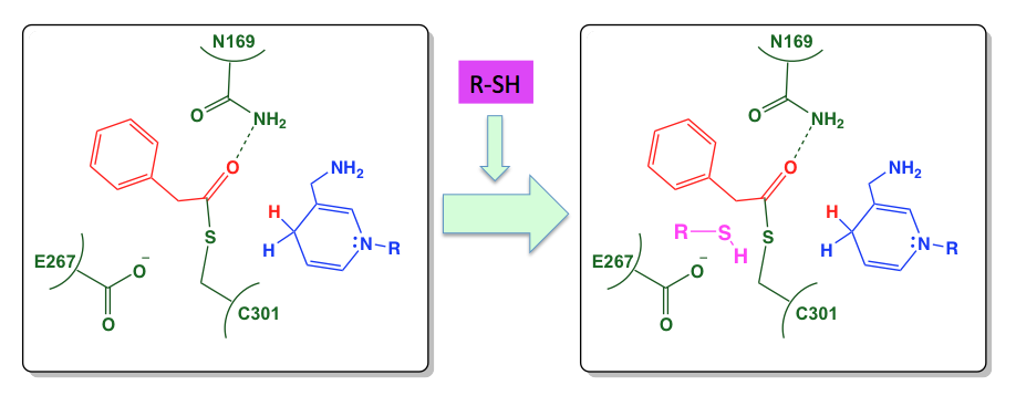 biochemical mechanism