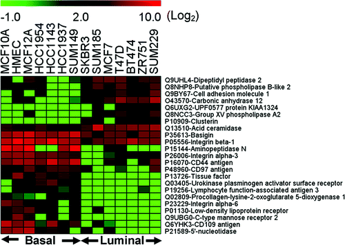 Luminal versus Basal