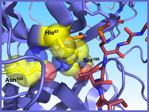 Chemical Illustration