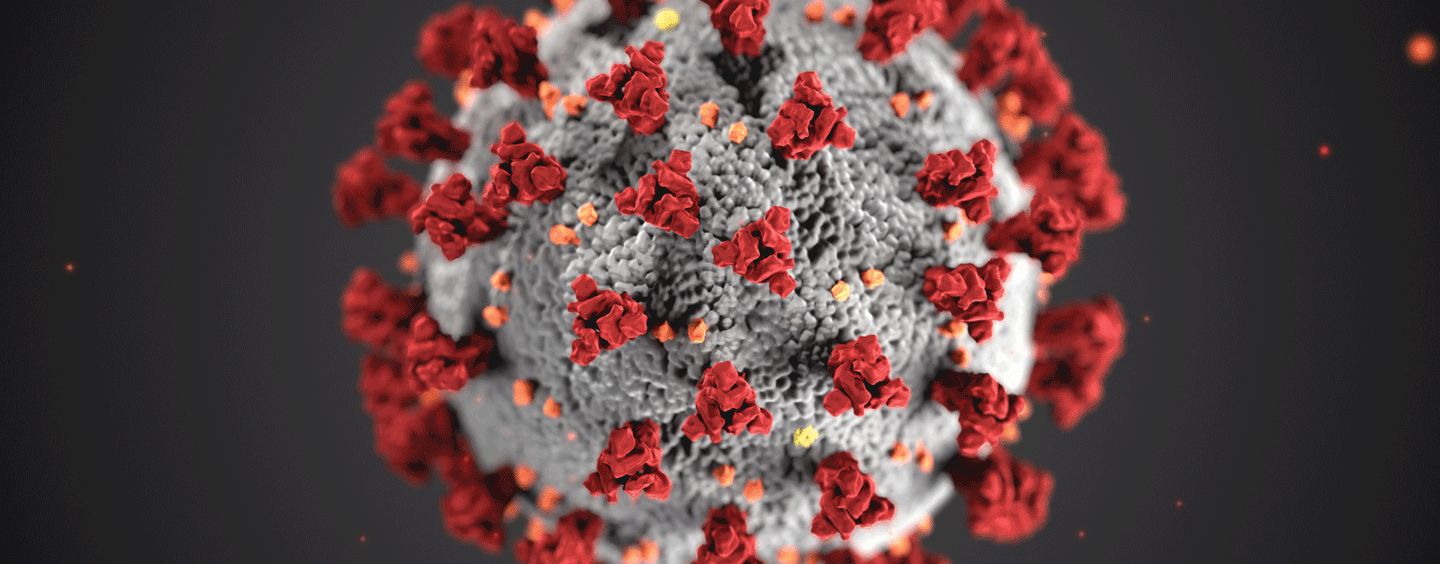 Coronavirus