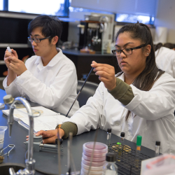 Undergraduate chemistry students working in the lab