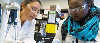 Pair of students works together in the lab